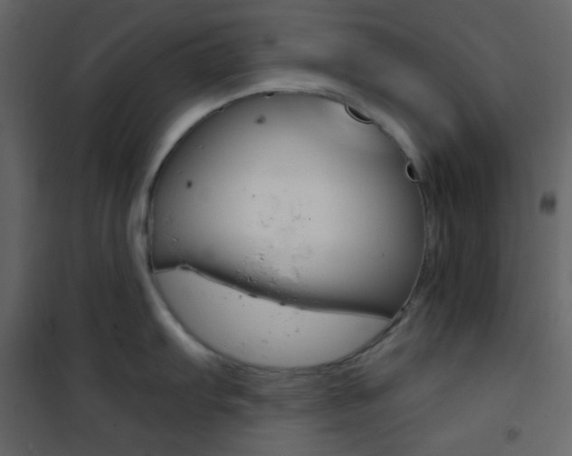 X0000101951103200807171127