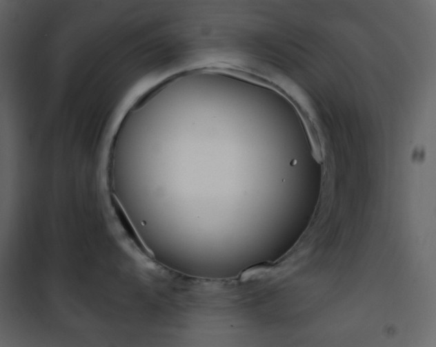 X0000101951104200807171127