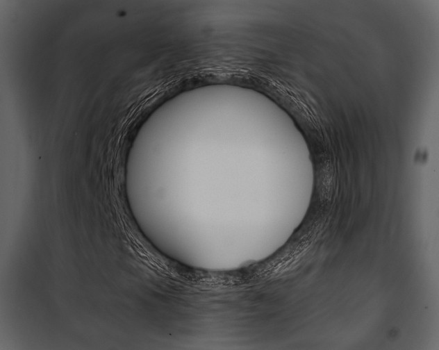 X0000101951105200807171127