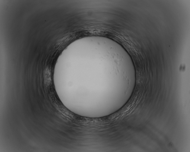 X0000101951106200807171127