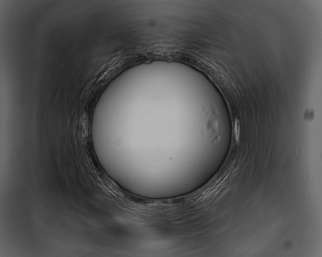 X0000101951107200807171127