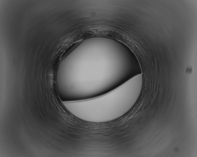 X0000101951108200807171127