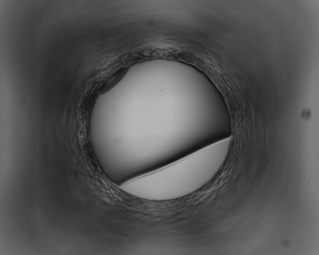 X0000101951109200807171127