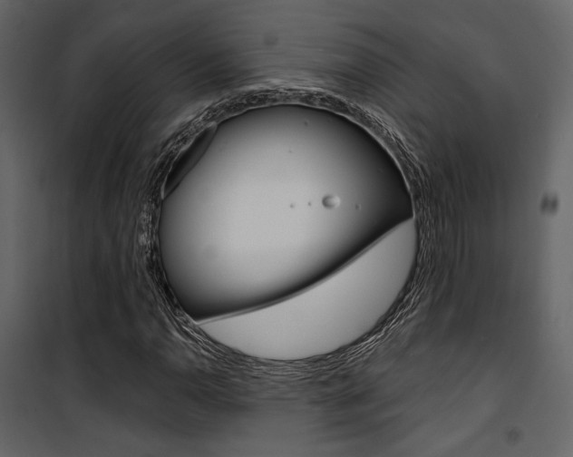 X0000101951110200807171127