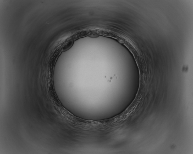 X0000101951111200807171127