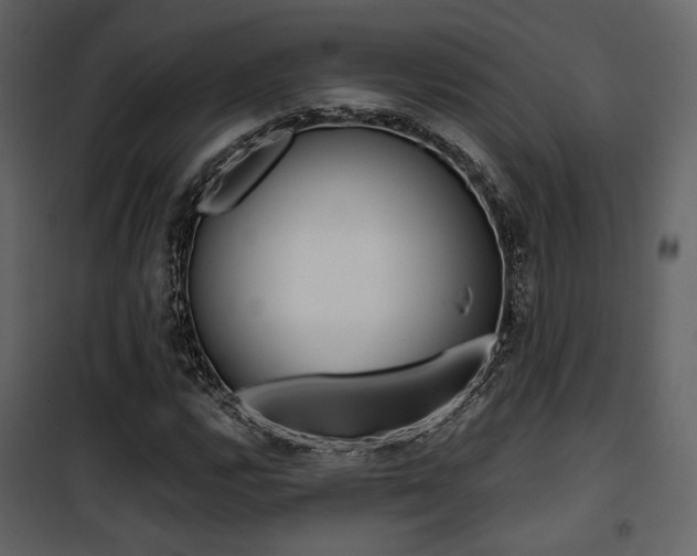 X0000101951112200807171127