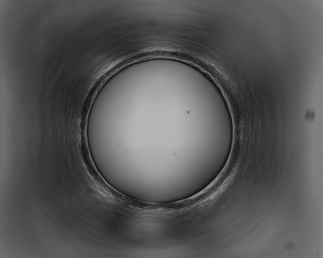 X0000101951113200807171127