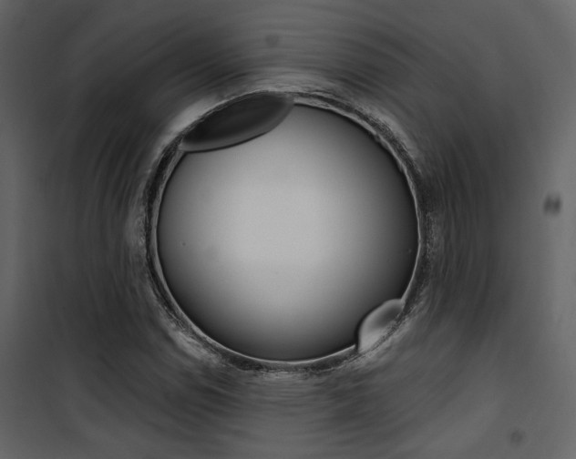 X0000101951114200807171127
