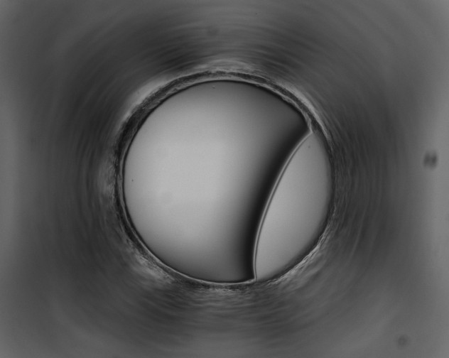 X0000101951115200807171127