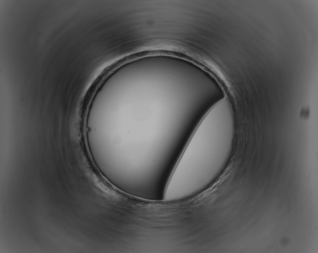 X0000101951116200807171127