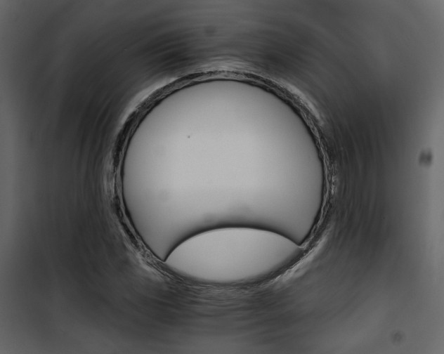X0000101951117200807171127