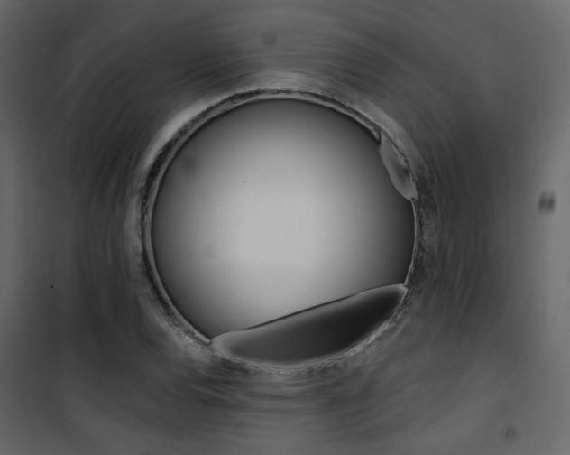 X0000101951120200807171127