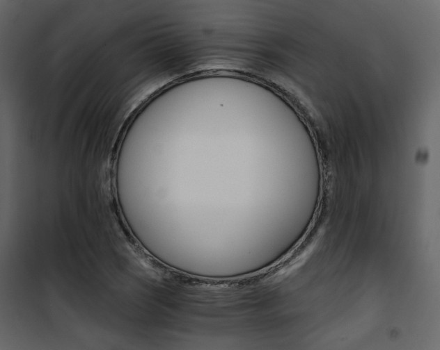 X0000101951121200807171127