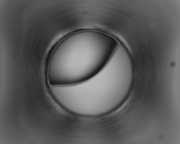 X0000101951122200807171127