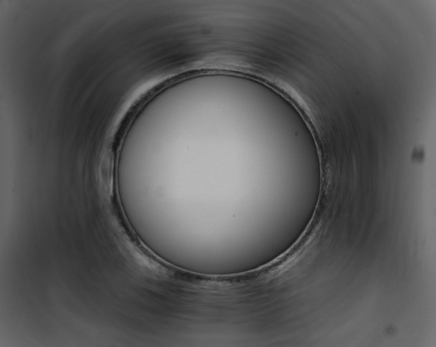 X0000101951123200807171127