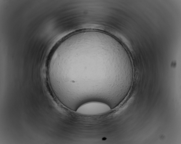 X0000101951125200807171127