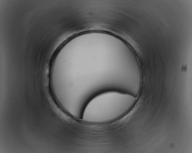 X0000101951126200807171127