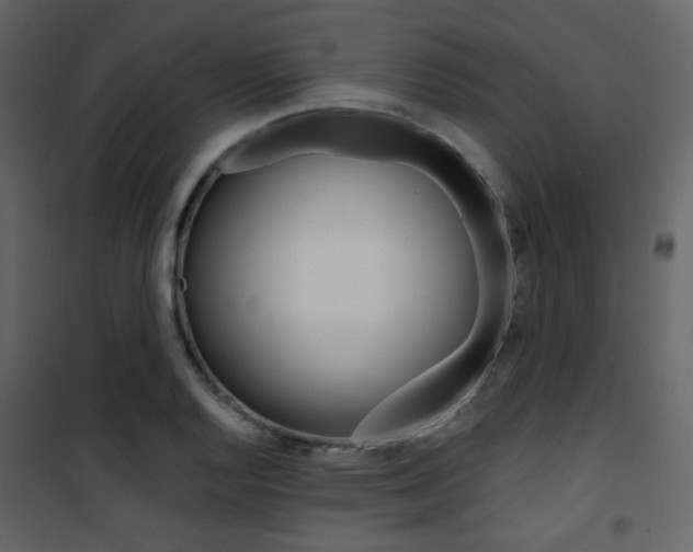X0000101951128200807171127