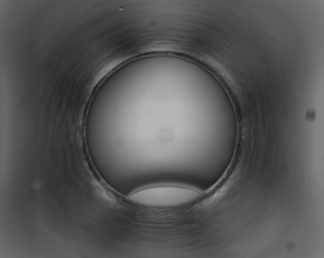X0000101951129200807171127