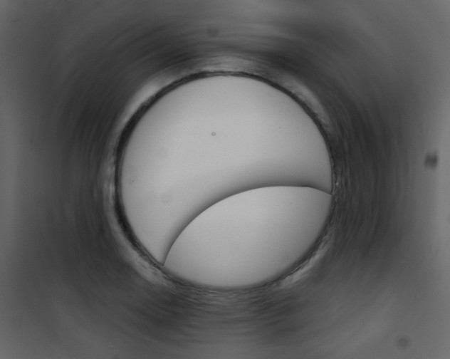 X0000101951130200807171127