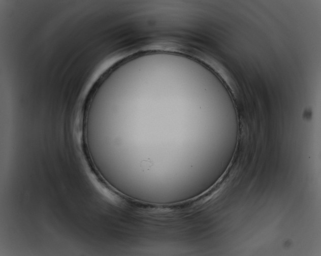 X0000101951131200807171127
