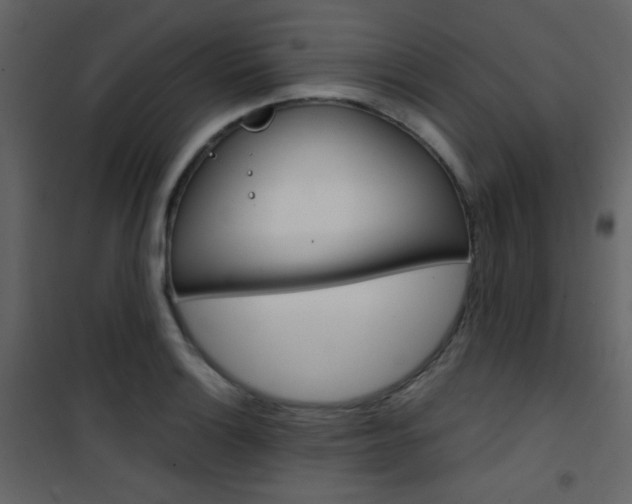 X0000101951132200807171127