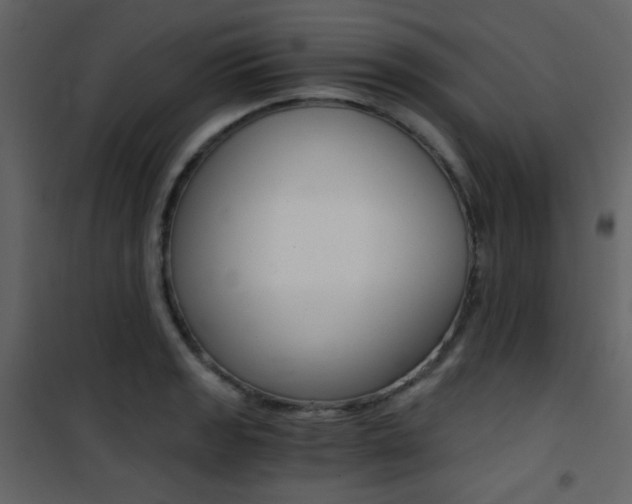 X0000101951133200807171127