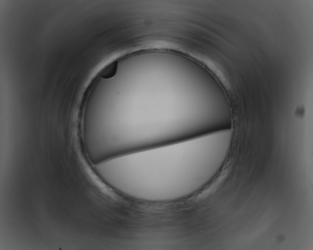 X0000101951134200807171127