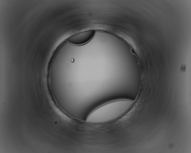 X0000101951135200807171127