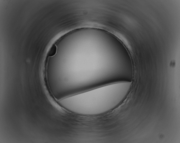 X0000101951136200807171127