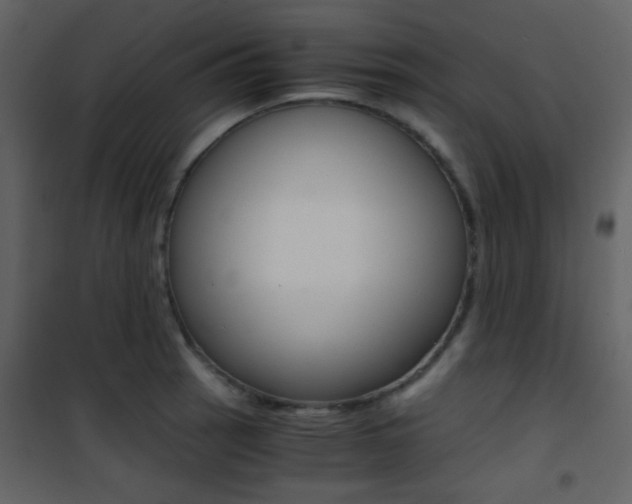 X0000101951137200807171127