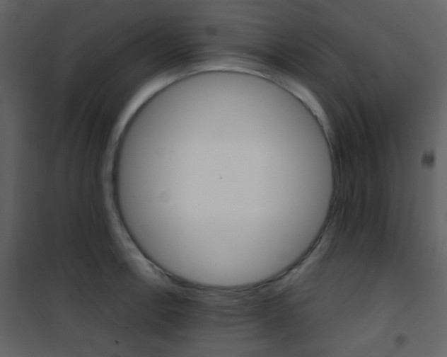 X0000101951138200807171127