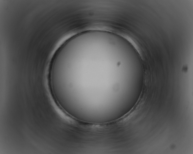 X0000101951139200807171127