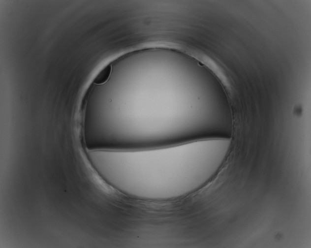 X0000101951140200807171127