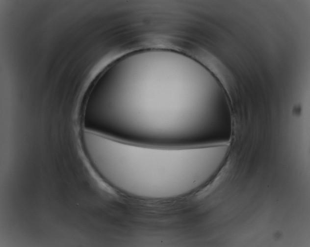 X0000101951141200807171127