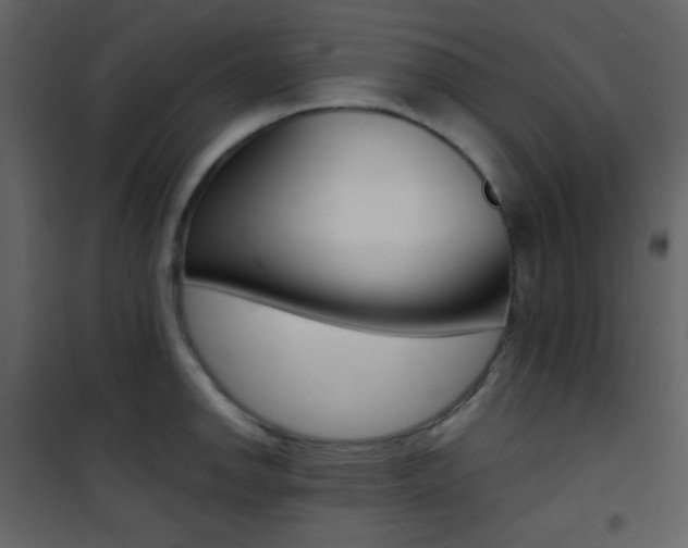 X0000101951142200807171127