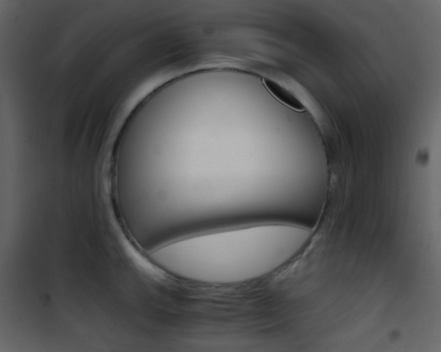 X0000101951143200807171127