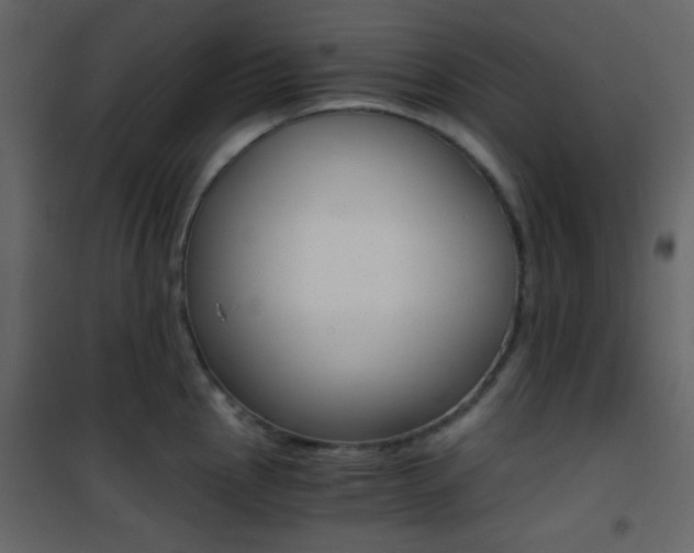X0000101951145200807171127