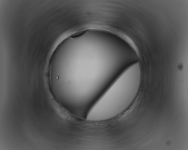 X0000101951146200807171127