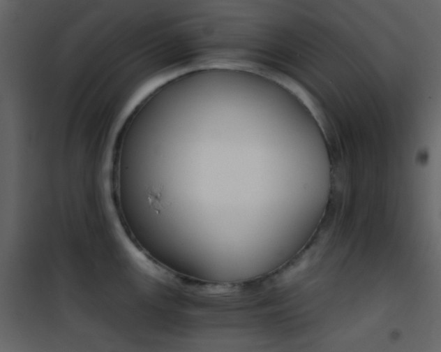 X0000101951147200807171127