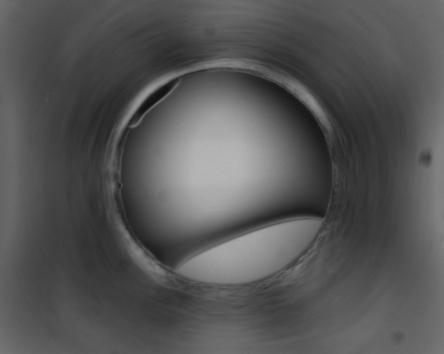 X0000101951148200807171127