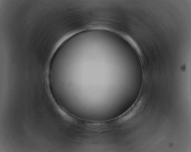 X0000101951149200807171127