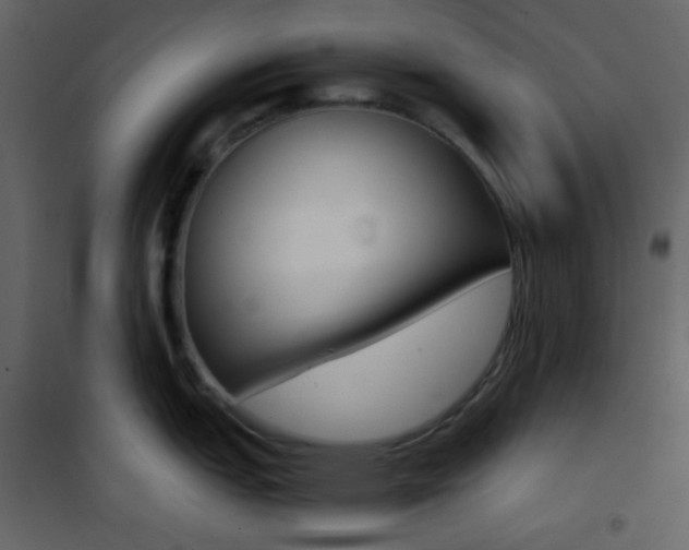 X0000101951151200807171127