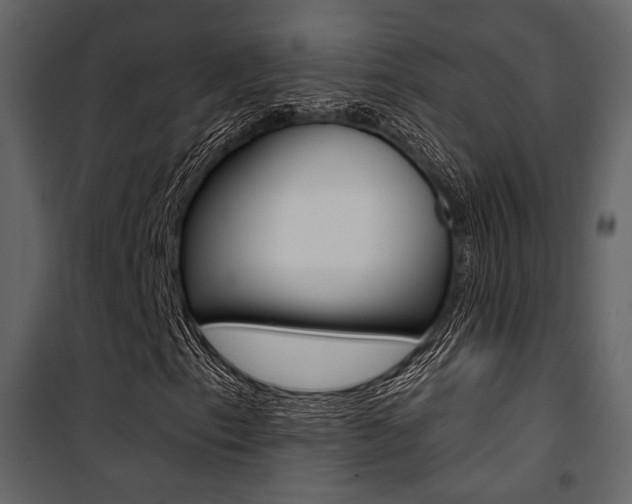 X0000101951153200807171127