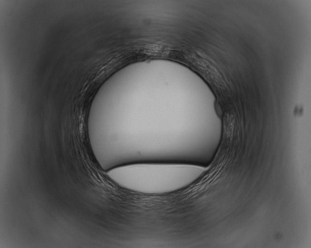 X0000101951154200807171127