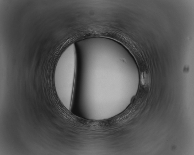 X0000101951155200807171126