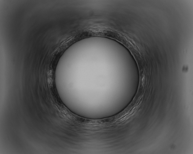 X0000101951156200807171126