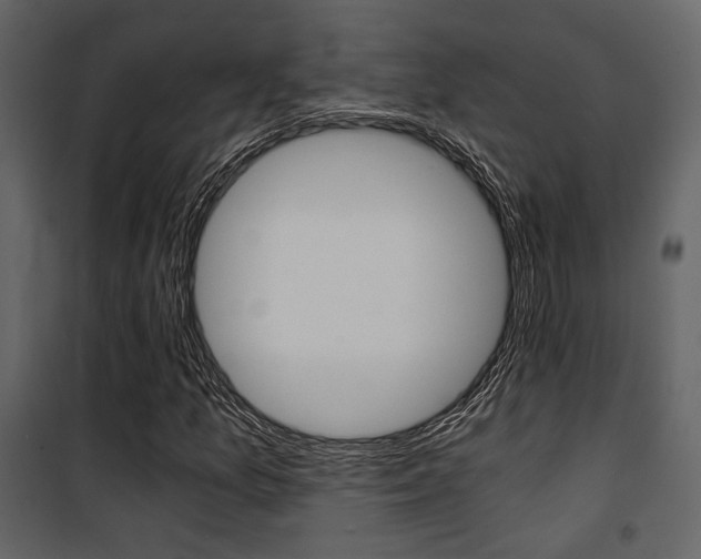 X0000101951157200807171126