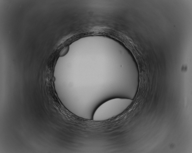 X0000101951158200807171126