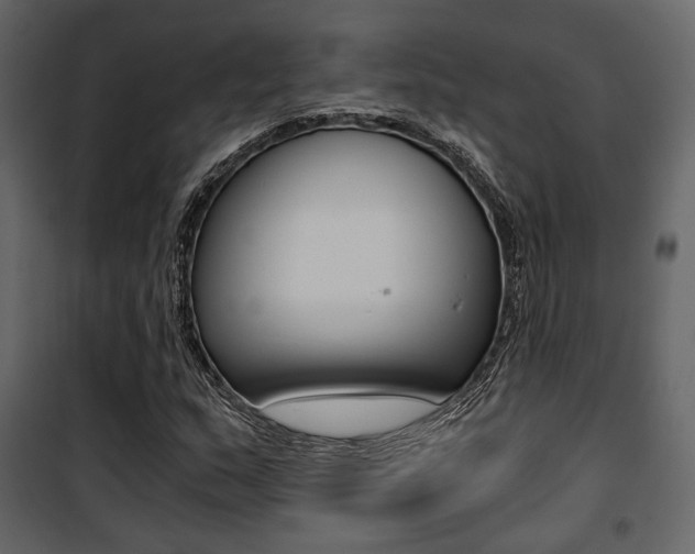 X0000101951159200807171126